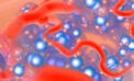 Diabetes cell A Canadian path to a regenerative cure to Type 1 diabetes