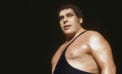 André the Giant wrestling wrestler entertainment Uncovering the myths and celebrating the reality of André the Giant