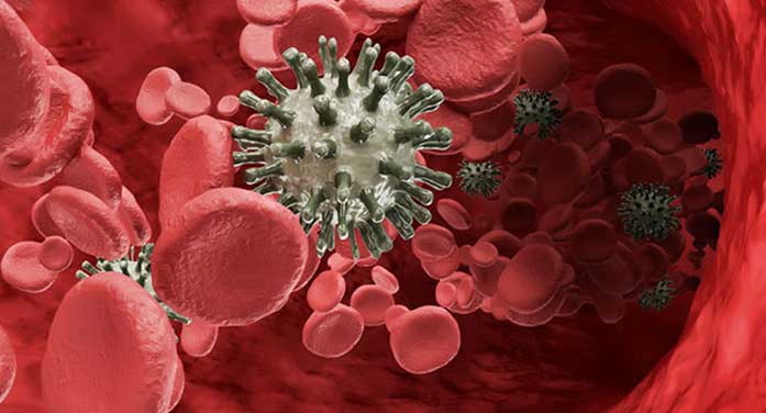 Killer T cells could ignite immune response against cancer: study Killer T cells could ignite immune response against cancer: study