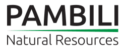 Pambili Natural Resources Corp
